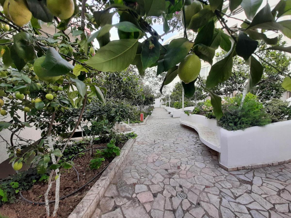 Kela Appartement Saranda