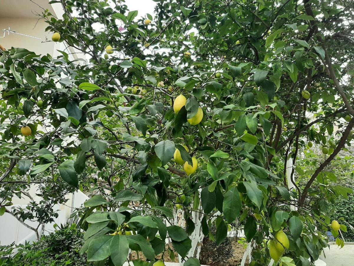 Kela * Saranda